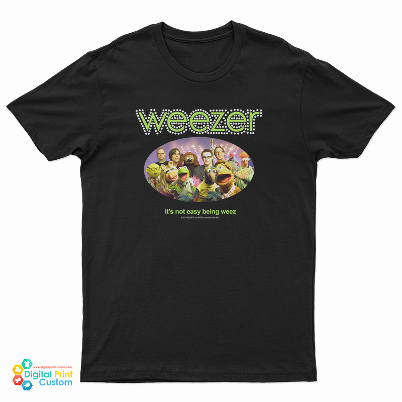 Vintage 2002 Weezer x Kermit the Frog Muppets T-Shirt For UNISEX