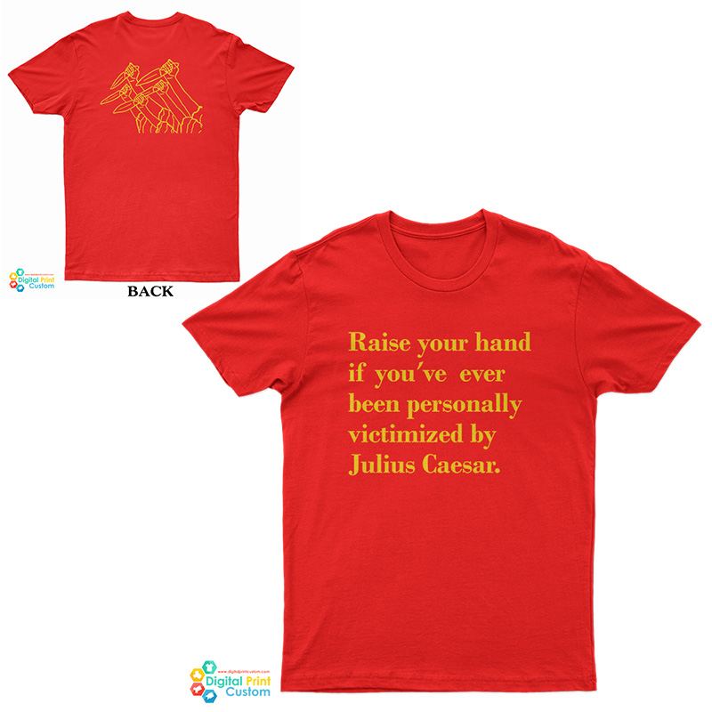 Raise Your Hand If You’ve Ever Been Personally Victimized By Julius Caesar T-Shirt