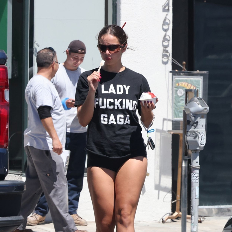 Lady Fucking Gaga T-Shirt