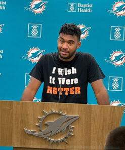 I Wish It Were Hotter T-Shirt