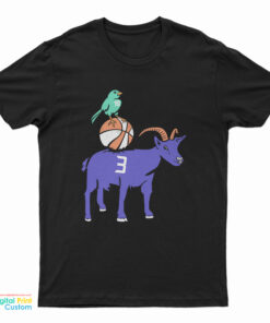 Sue Bird And Diana Taurasi T-Shirt