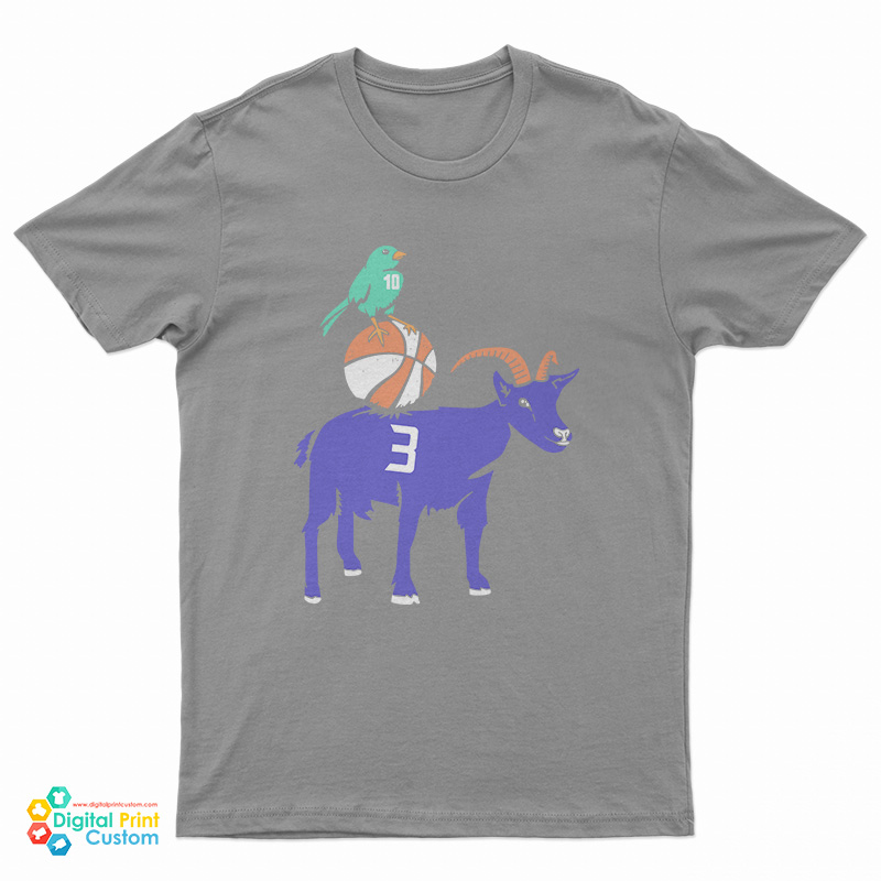 Sue Bird And Diana Taurasi T-Shirt