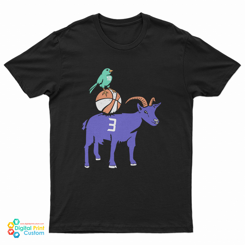 Sue Bird And Diana Taurasi T-Shirt