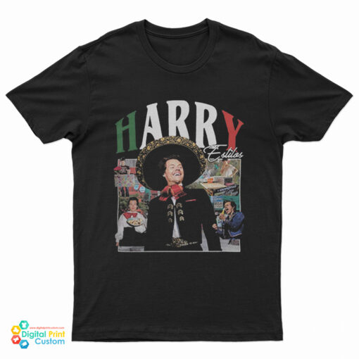 Harry Styles Estilos T-Shirt