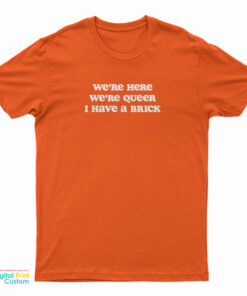 We're Here We're Queer I Have A Brick T-Shirt