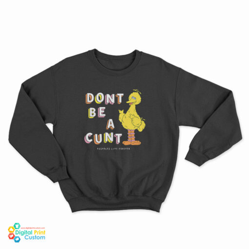 Big Bird Don't Be A Cunt Sweatshirt