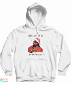 I Know I Won’t See You But Merry Christmas Stevie Wonder Hoodie