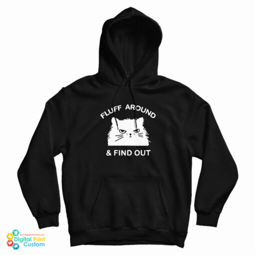 Fluff Around And Find Out Funny Cat Hoodie