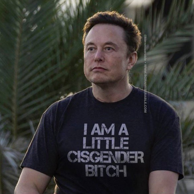 I Am A Little Cisgender Bitch T-Shirt