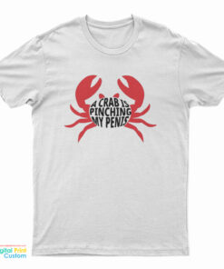 A Crab Is Pinching My Penis T-Shirt