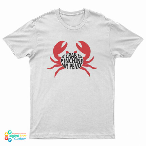 A Crab Is Pinching My Penis T-Shirt