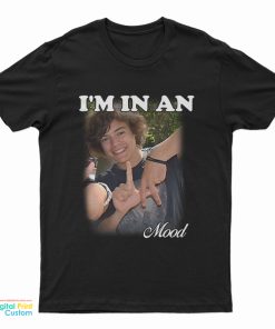 I'm In An LA Mood Harry Styles T-Shirt