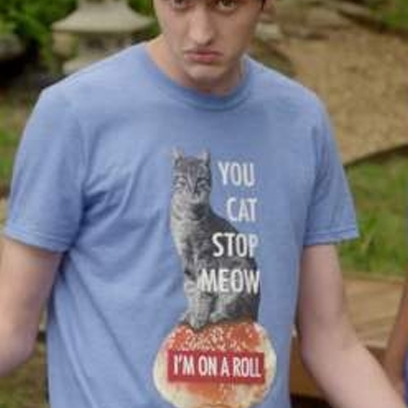 You Cat Stop Meow I'm On A Roll Demetri's Cobra Kai T-Shirt
