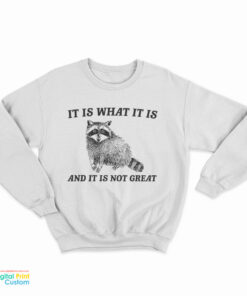 It Is What It Is And It Is Not Great Raccoon Sweatshirt