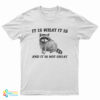 It Is What It Is And It Is Not Great Raccoon T-Shirt