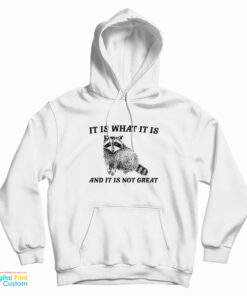 It Is What It Is And It Is Not Great Raccoon Hoodie