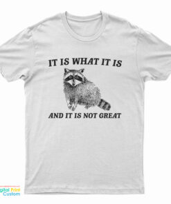 It Is What It Is And It Is Not Great Raccoon T-Shirt