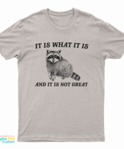It Is What It Is And It Is Not Great Raccoon T-Shirt