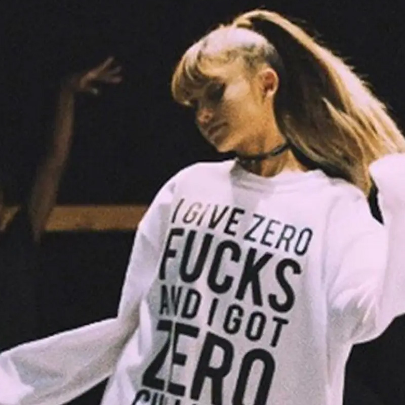 I Give Zero Fucks And I Got Zero Chill In Me Sweatshirt