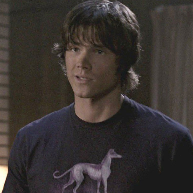 Sam Winchester Purple Dog T-Shirt