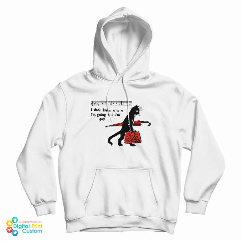 Cat I Don't Know Where I'm Going But I'm Gay Hoodie