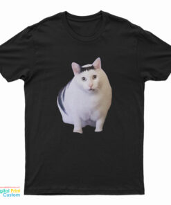 Huh Cat Chonky Ben Meme T-Shirt