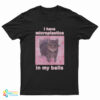 I Have Microplastics In My Balls Cat Meme T-Shirt
