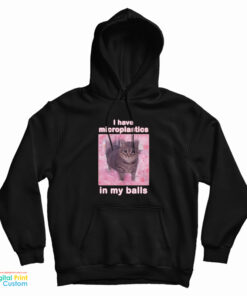 I Have Microplastics In My Balls Cat Meme Hoodie