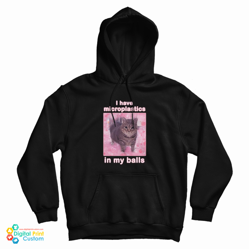 I Have Microplastics In My Balls Cat Meme Hoodie