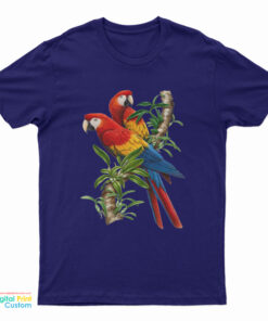 The Parrot On Bret’s T-Shirt