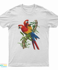 The Parrot On Bret’s T-Shirt